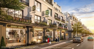 Thiết kế Shophouse Coastal Quảng Ngãi